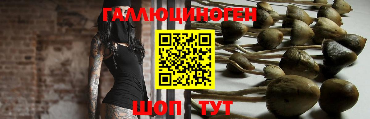 Псилоцибиновые грибы Magic Shrooms  Псилоцибиновые грибы ЛСД  Зеленокумск  хочу наркоту  Вход с VPN 